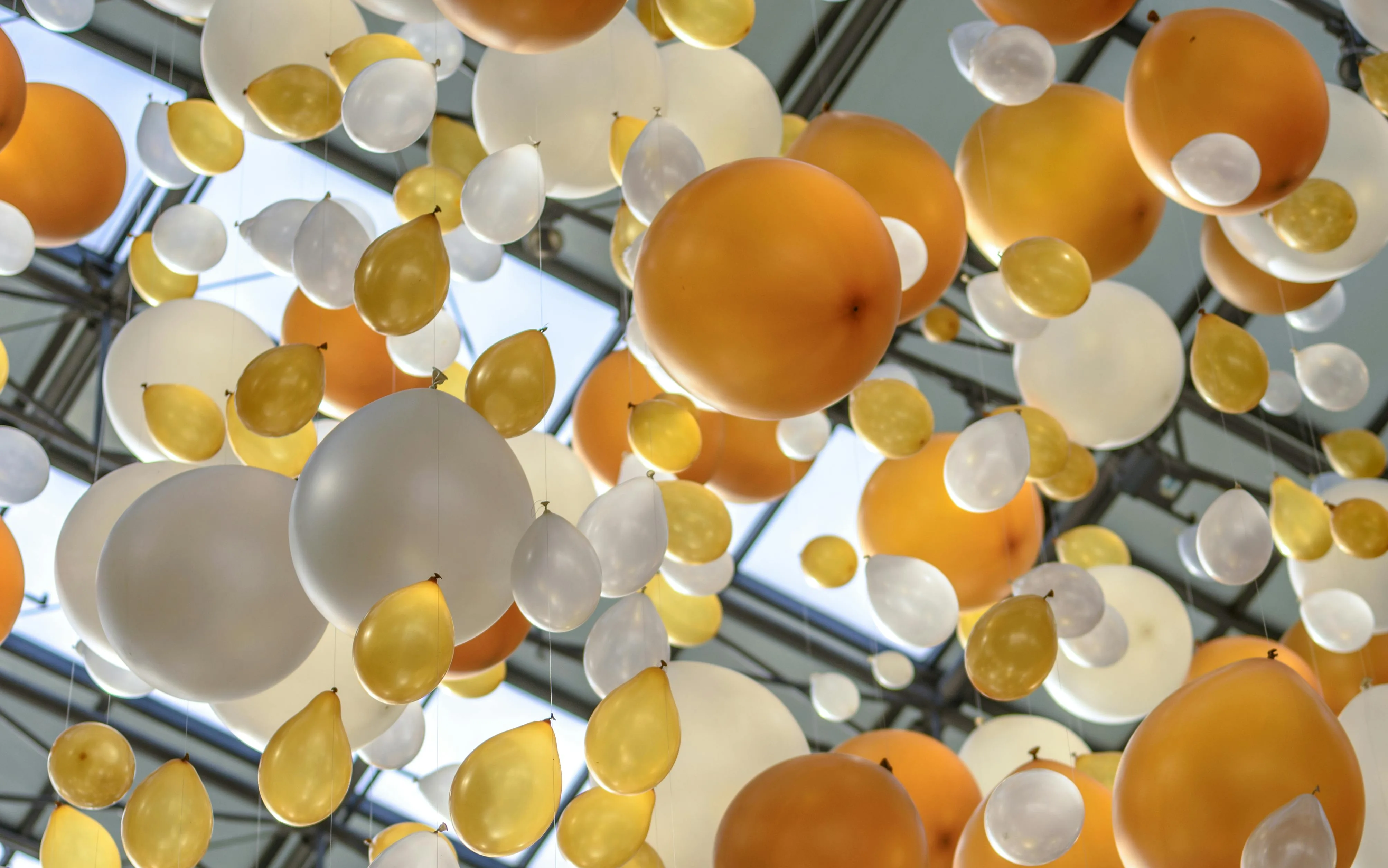 Texter in Köln: Stefan Golling